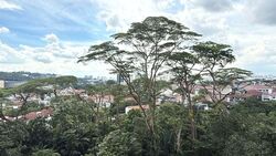 The Skywoods (D23), Condominium #601698011